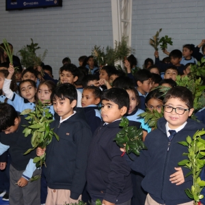 Celebración de Ramos